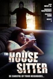 Пока никого нет дома (2022) House Sitter 2022