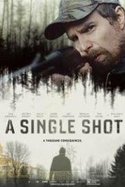 Единственный выстрел (2013) A Single Shot