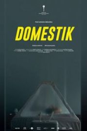 Домашний режим (2018) Domestik
