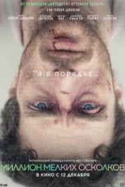 Миллион мелких осколков (2018) A Million Little Pieces