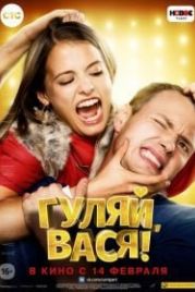 Гуляй, Вася! (2017)