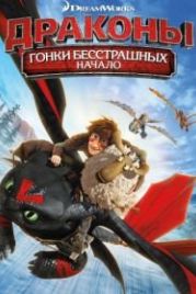 Драконы: Гонки бесстрашных. Начало (2014) Dragons: Dawn of the Dragon Racers