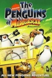 Пингвины из Мадагаскара (2008) The Penguins of Madagascar