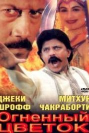 Огненный цветок / Цветок и пламя (1999) Phool Aur Aag