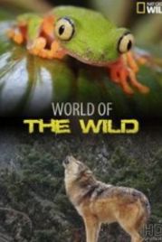 National Geographic. Мир дикой природы (2016) World of the Wild