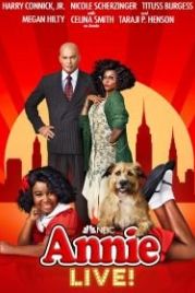 Энни на сцене (2021) Annie Live!