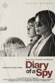 Дневник шпионки (2022) Diary of a Spy