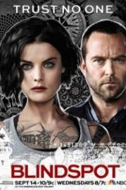 Слепая зона (2015) Blindspot