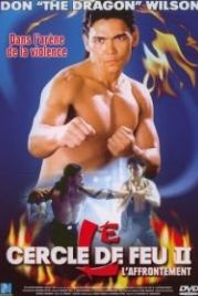 Огненное кольцо 2: Огонь и сталь (1993) Ring of Fire II: Blood and Steel