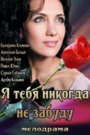 Я тебя никогда не забуду (2013)