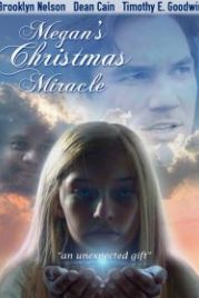Рождественское чудо для Меган (2018) Megan's Christmas Miracle