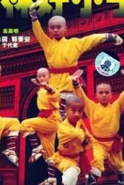 Посланники Шаолиня (1995) Xiao lin lao zu