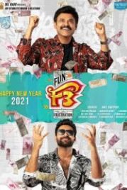 Веселье и разочарование 2 (2022) F3: Fun and Frustration