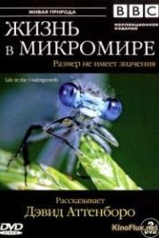BBC: Жизнь в микромире (2005) Life in the Undergrowth