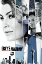 Анатомия страсти / Анатомия Грей (2005) Grey's Anatomy