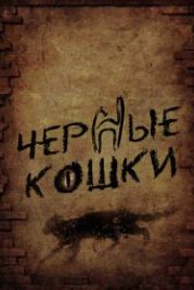 Черные кошки (2013)