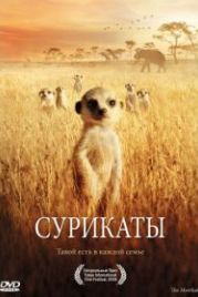 Сурикаты (2007) The Meerkats