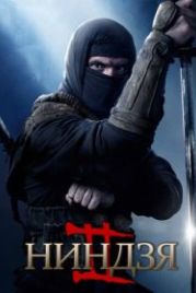 Ниндзя 2 (2013) Ninja: Shadow of a Tear