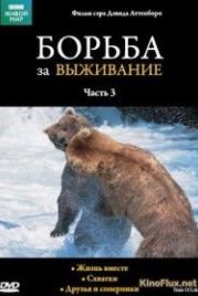 BBC: Борьба за выживание (1990) The Trials of Life