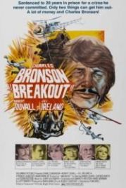Побег (1975) Breakout