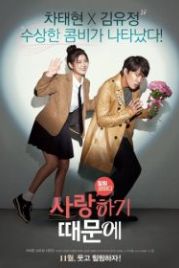 Потому что я тебя люблю (2017) Saranghagi ttaemune
