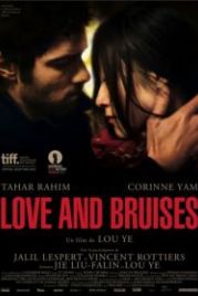 Любовь и ссадины (2011) Love and Bruises