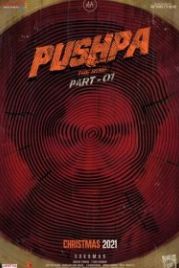 Пушпа (2021) Pushpa: The Rise - Part 1