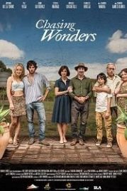 В поисках чуда (2020) Chasing Wonders