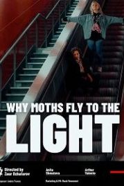 Почему мотыльки летят на свет? (2020) Why Moths Fly to the Light?