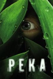 Река (2012) The River