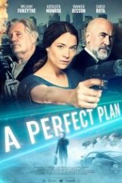 Идеальный план (2020) A Perfect Plan