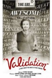 Подтверждение (2007) Validation