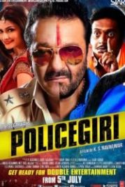 Два в одном: Полицейский и бандит / Инспектор в законе (2013) Policegiri