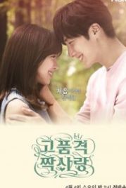 Высококачественная любовь (2015) Gopumgyeok jjaksarang