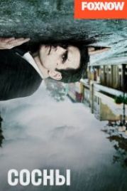Сосны (2015) Wayward Pines