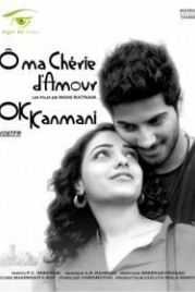 Да, моя радость! (2015) OK Kanmani