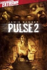 Пульс 2 (2008) Pulse 2: Afterlife