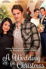 Свадьба на Рождество (2018) A Wedding for Christmas