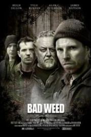 Последний урожай (2016) Dark Harvest