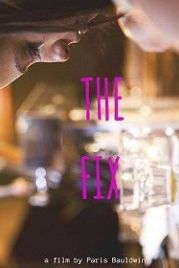 Исправление (2015) The Fix