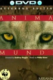 Душа мира (1992) Anima Mundi