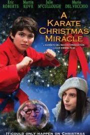 Рождественское чудо в стиле карате (2019) A Karate Christmas Miracle