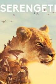 BBC: Серенгети (2019) Serengeti