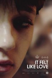 Похоже на любовь (2013) It Felt Like Love