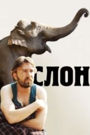 Слон (2010)
