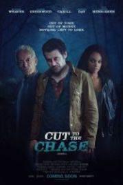 В поисках истины (2016) Cut to the Chase