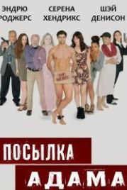 Посылка Адама (2021) Adam's Package