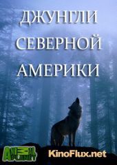 Джунгли Северной Америки (2014) Yankee jungle