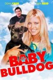 Малыш бульдог (2020) Baby Bulldog
