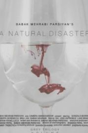 Стихийное бедствие (2018) A Natural Disaster